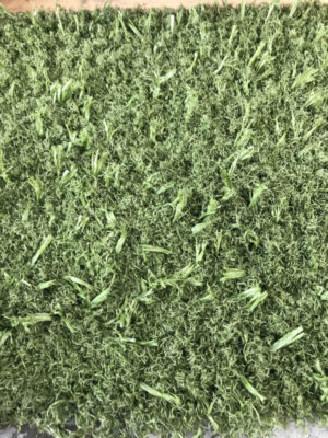 2ee6198b-7a30-4e09-b9dd-62f1ffad4e3b Terrain de football complet