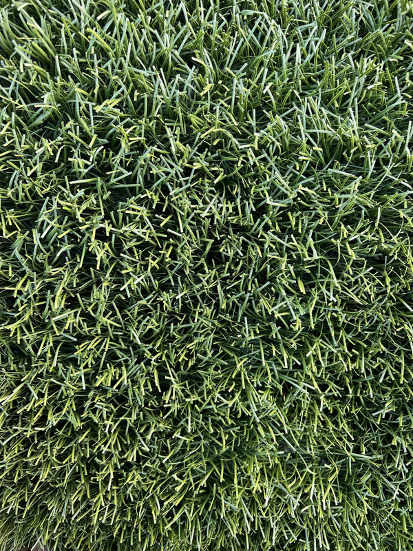 IMG_0035 Gazon type football 40-45mm